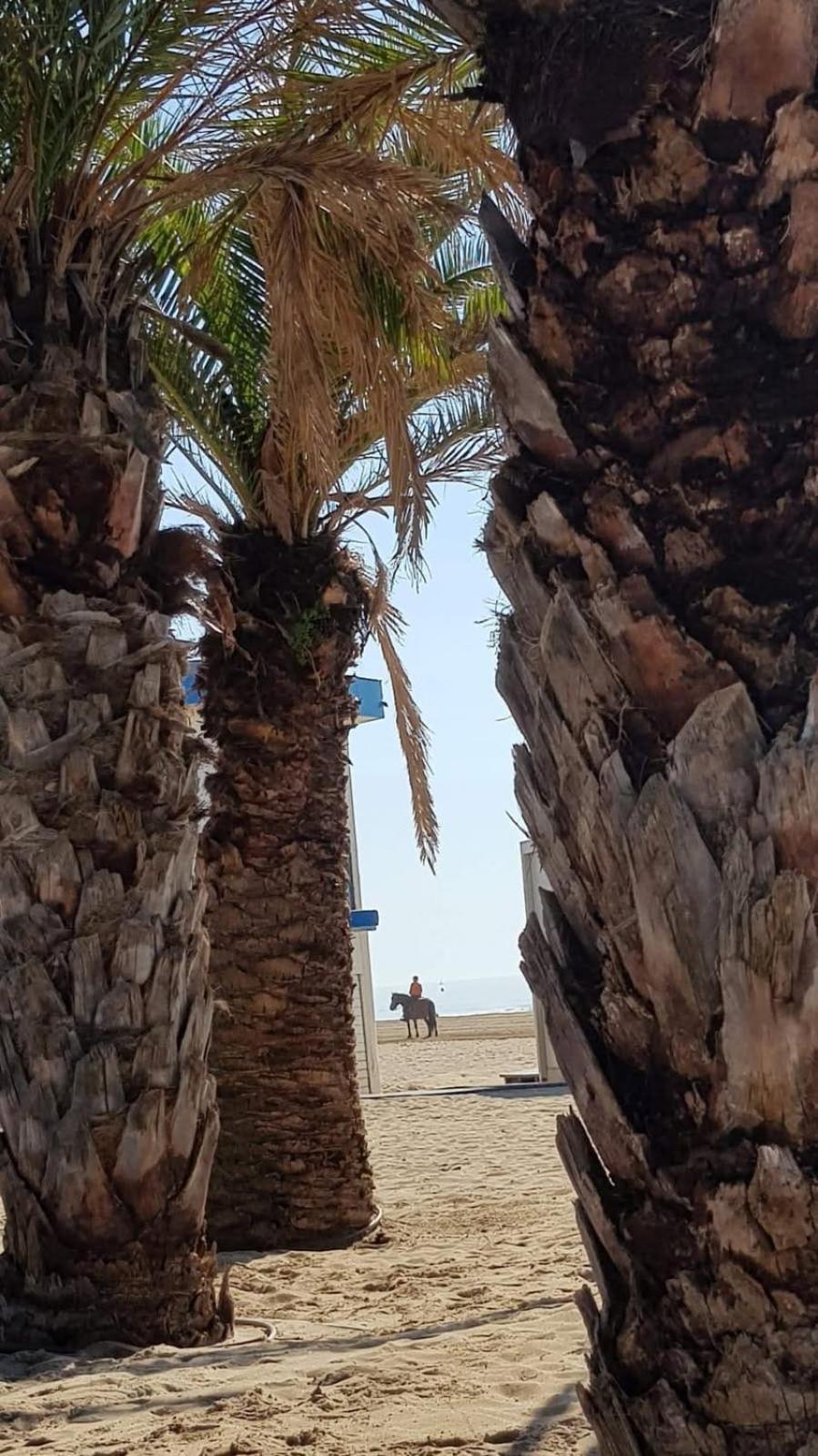 Appartement Les Sables De Pami *